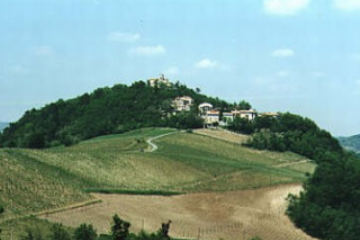 Sfoglia la galleria