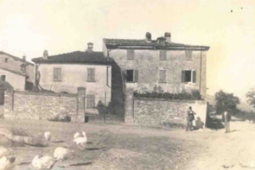 Sfoglia la galleria