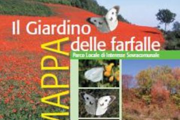 Sfoglia la galleria